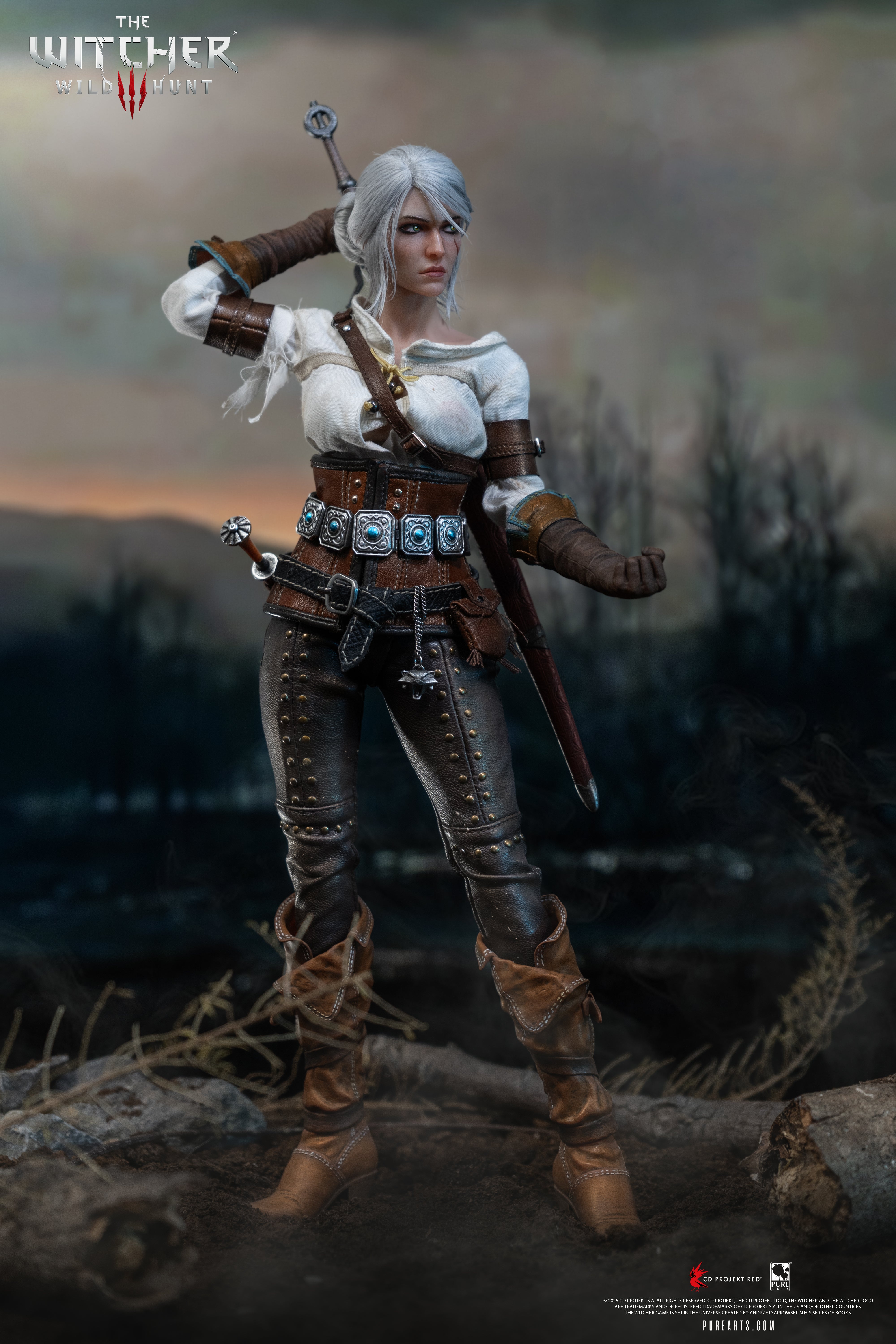 all witcher gear The Witcher 3: Wild Hunt Action Figure 1/6 Ciri of Cintra 30 cm