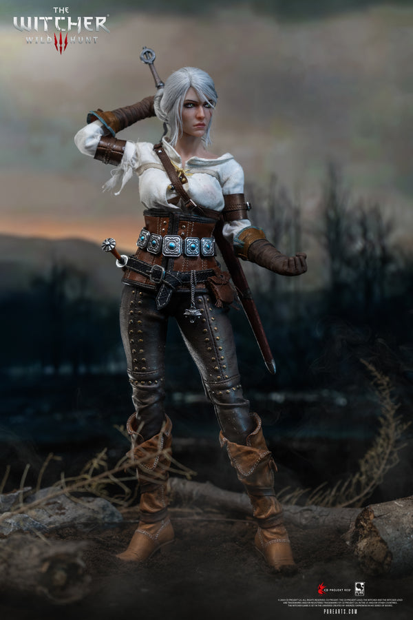 The Witcher 3: Wild Hunt Ciri of Cintra 1/6 Scale Premium Articulated Figure