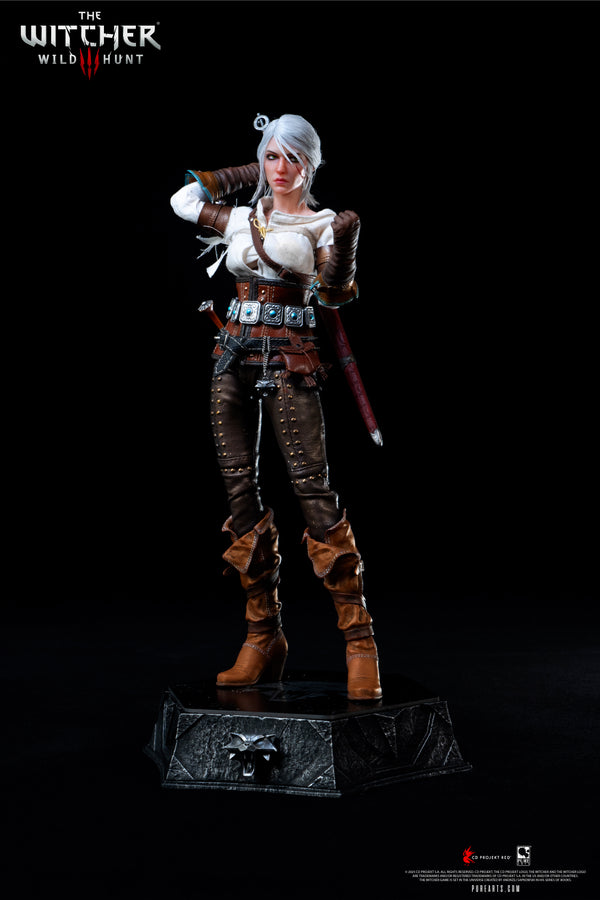 The Witcher 3: Wild Hunt Ciri of Cintra 1/6 Scale Premium Articulated Figure