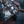 Buste d'Edward Kenway à l'échelle 1/4 - Assassin’s Creed Black Flag