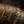 Elden Ring Arm of Malenia Mini Replica 1/3 Scale