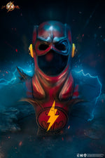 The Flash Young Barry 1:1 Scale Cowl Replica Exclusive Edition