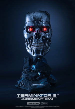 Terminator 2 T-800 Art Mask